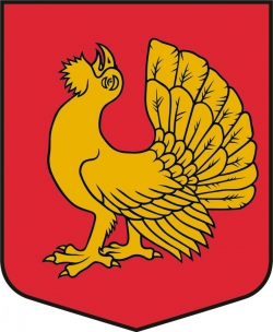 Dundagas pagasta ģerboņa heraldiskais apraksts: sarkanā laukā zelta dziedošs mednis.