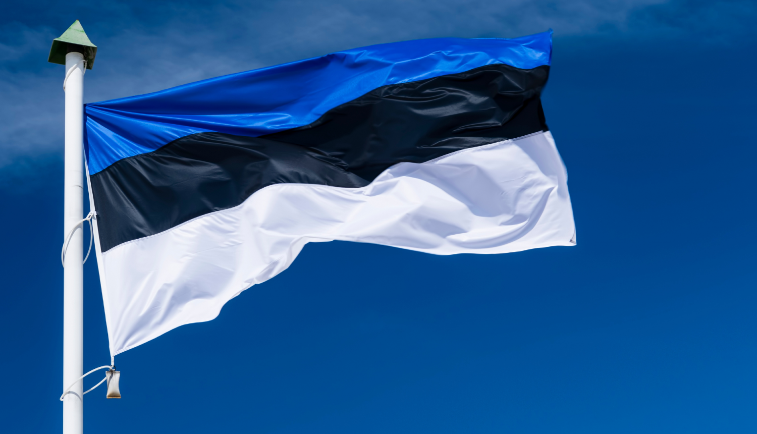 Sveicam Igaunijas Neatkarības dienā!